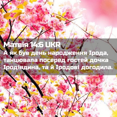 Picture 02 - Матвія 14:6 UKR - А як був день народження - Bible Verse Picture
