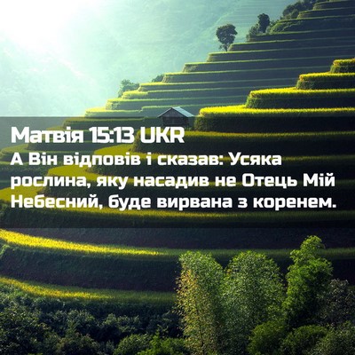 Picture 02 - Матвія 15:13 UKR - А Він відповів і сказав: - Bible Verse Picture