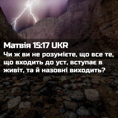 Picture 02 - Матвія 15:17 UKR - Чи ж ви не розумієте, що все - Bible Verse Picture