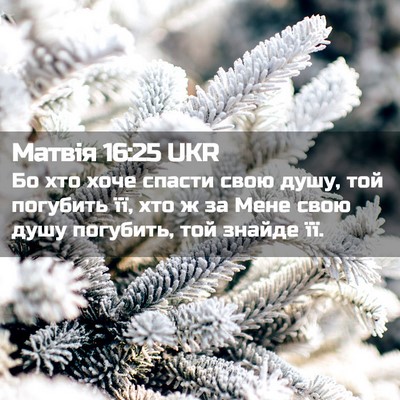 Picture 02 - Матвія 16:25 UKR - Бо хто хоче спасти свою - Bible Verse Picture