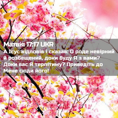 Picture 02 - Матвія 17:17 UKR - А Ісус відповів і сказав: О - Bible Verse Picture