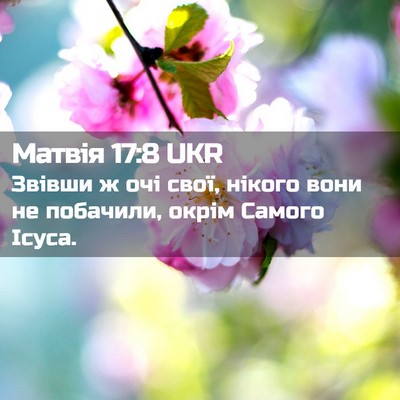 Picture 02 - Матвія 17:8 UKR - Звівши ж очі свої, нікого - Bible Verse Picture