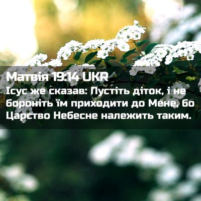 Picture 02 - Матвія 19:14 UKR - Ісус же сказав: Пустіть - Bible Verse Picture