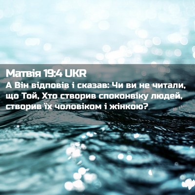 Picture 02 - Матвія 19:4 UKR - А Він відповів і сказав: Чи - Bible Verse Picture