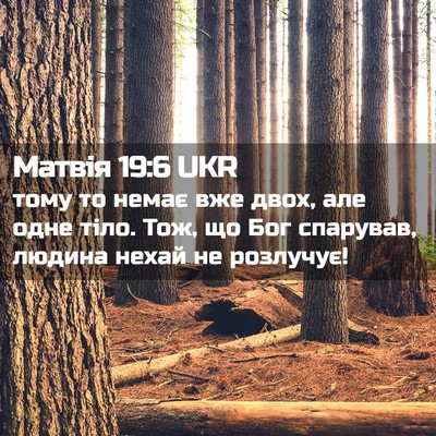 Picture 02 - Матвія 19:6 UKR - тому то немає вже двох, але - Bible Verse Picture