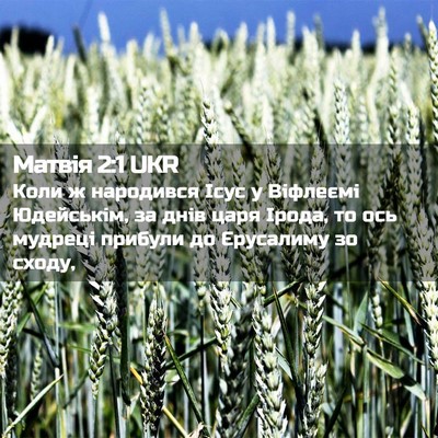 Picture 02 - Матвія 2:1 UKR - Коли ж народився Ісус у - Bible Verse Picture