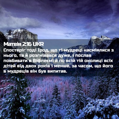 Picture 02 - Матвія 2:16 UKR - Спостеріг тоді Ірод, що ті - Bible Verse Picture