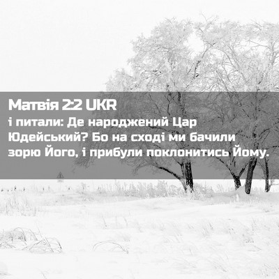 Picture 02 - Матвія 2:2 UKR - і питали: Де народжений Цар - Bible Verse Picture