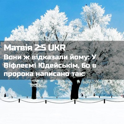 Picture 02 - Матвія 2:5 UKR - Вони ж відказали йому: У - Bible Verse Picture