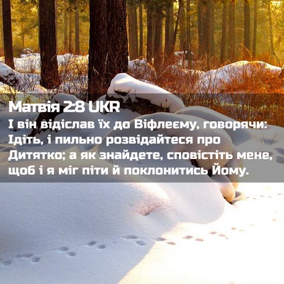 Picture 02 - Матвія 2:8 UKR - І він відіслав їх до - Bible Verse Picture