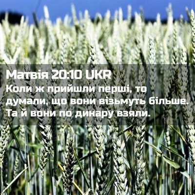 Picture 02 - Матвія 20:10 UKR - Коли ж прийшли перші, то - Bible Verse Picture