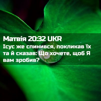 Picture 02 - Матвія 20:32 UKR - Ісус же спинився, покликав - Bible Verse Picture