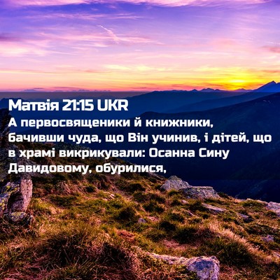 Picture 02 - Матвія 21:15 UKR - А первосвященики й - Bible Verse Picture