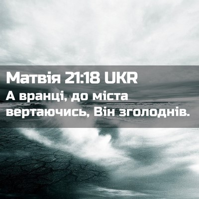 Picture 02 - Матвія 21:18 UKR - А вранці, до міста - Bible Verse Picture