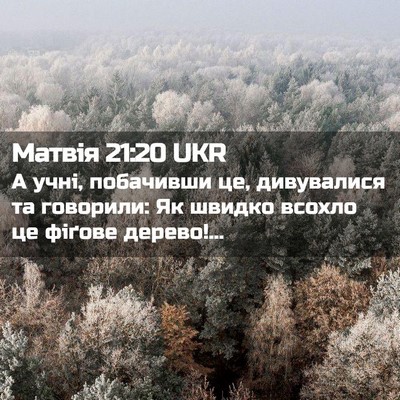 Picture 02 - Матвія 21:20 UKR - А учні, побачивши це, - Bible Verse Picture