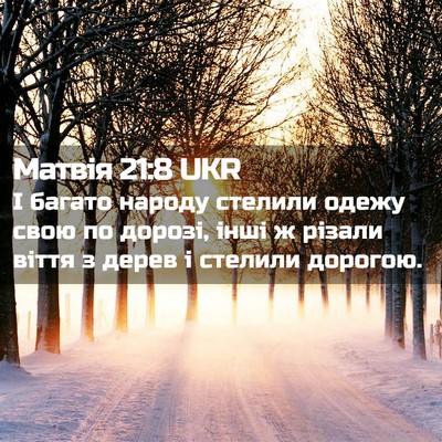 Picture 02 - Матвія 21:8 UKR - І багато народу стелили - Bible Verse Picture