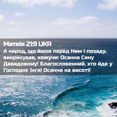 Picture 02 - Матвія 21:9 UKR - А народ, що йшов перед Ним і - Bible Verse Picture