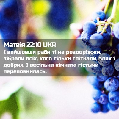 Picture 02 - Матвія 22:10 UKR - І вийшовши раби ті на - Bible Verse Picture