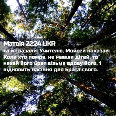 Picture 02 - Матвія 22:24 UKR - та й сказали: Учителю, - Bible Verse Picture