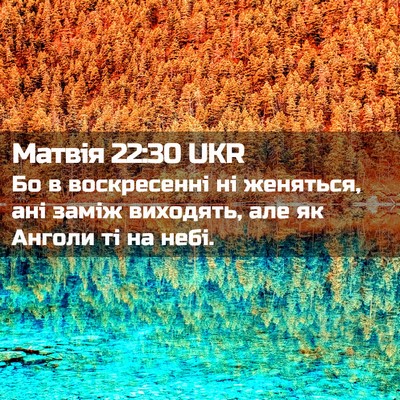 Picture 02 - Матвія 22:30 UKR - Бо в воскресенні ні - Bible Verse Picture