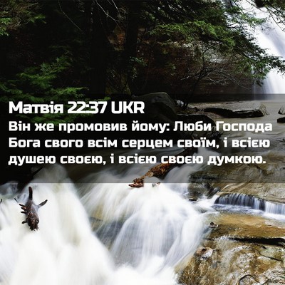 Picture 02 - Матвія 22:37 UKR - Він же промовив йому: Люби - Bible Verse Picture