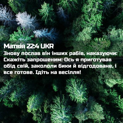 Picture 02 - Матвія 22:4 UKR - Знову послав він інших - Bible Verse Picture