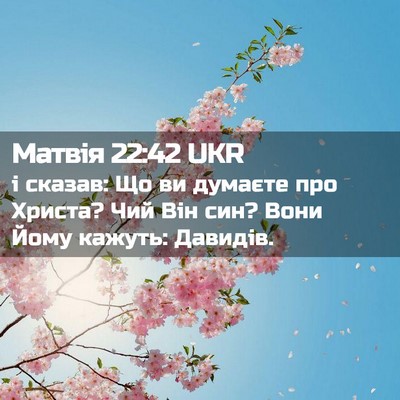 Picture 02 - Матвія 22:42 UKR - і сказав: Що ви думаєте про - Bible Verse Picture