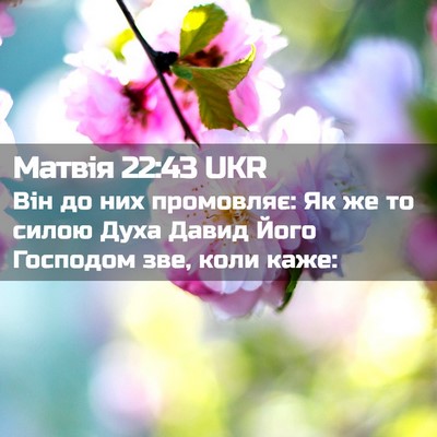 Picture 02 - Матвія 22:43 UKR - Він до них промовляє: Як же - Bible Verse Picture