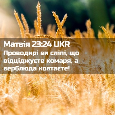 Picture 02 - Матвія 23:24 UKR - Проводирі ви сліпі, що - Bible Verse Picture
