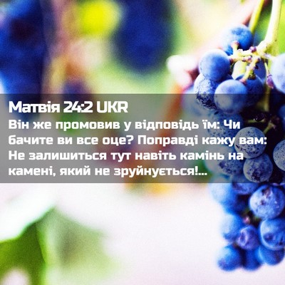 Picture 02 - Матвія 24:2 UKR - Він же промовив у - Bible Verse Picture