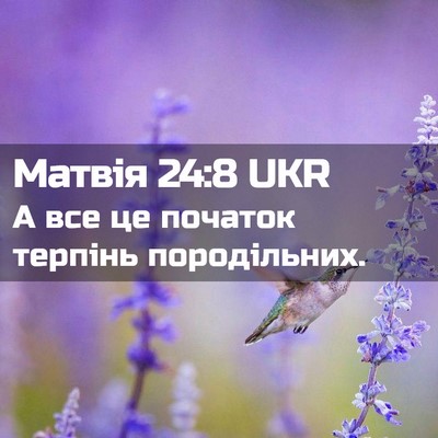 Picture 02 - Матвія 24:8 UKR - А все це початок терпінь - Bible Verse Picture