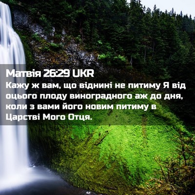 Picture 02 - Матвія 26:29 UKR - Кажу ж вам, що віднині не - Bible Verse Picture