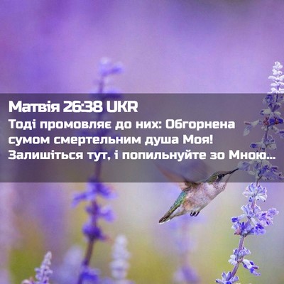 Picture 02 - Матвія 26:38 UKR - Тоді промовляє до них: - Bible Verse Picture