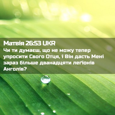 Picture 02 - Матвія 26:53 UKR - Чи ти думаєш, що не можу - Bible Verse Picture