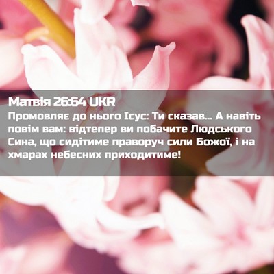 Picture 02 - Матвія 26:64 UKR - Промовляє до нього Ісус: Ти - Bible Verse Picture