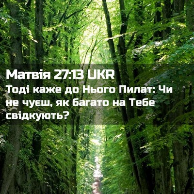 Picture 02 - Матвія 27:13 UKR - Тоді каже до Нього Пилат: - Bible Verse Picture