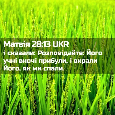 Picture 02 - Матвія 28:13 UKR - і сказали: Розповідайте: - Bible Verse Picture
