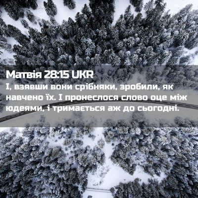 Picture 02 - Матвія 28:15 UKR - І, взявши вони срібняки, - Bible Verse Picture