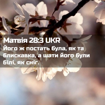 Picture 02 - Матвія 28:3 UKR - Його ж постать була, як та - Bible Verse Picture