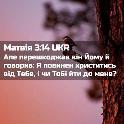 Picture 02 - Матвія 3:14 UKR - Але перешкоджав він Йому й - Bible Verse Picture