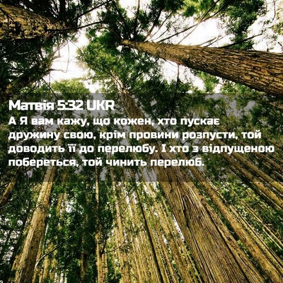 Picture 02 - Матвія 5:32 UKR - А Я вам кажу, що кожен, хто - Bible Verse Picture