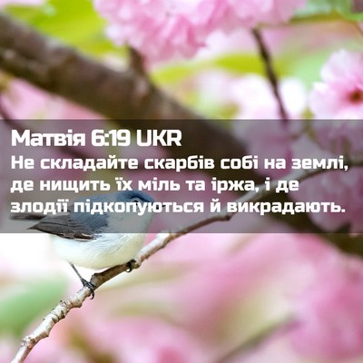 Picture 02 - Матвія 6:19 UKR - Не складайте скарбів собі - Bible Verse Picture
