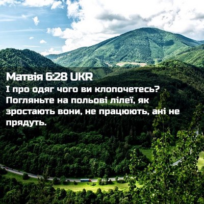 Picture 02 - Матвія 6:28 UKR - І про одяг чого ви - Bible Verse Picture