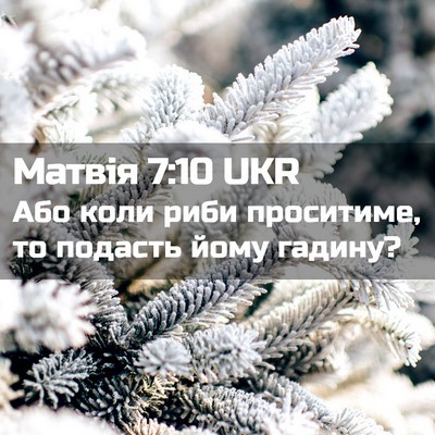 Picture 02 - Матвія 7:10 UKR - Або коли риби проситиме, то - Bible Verse Picture