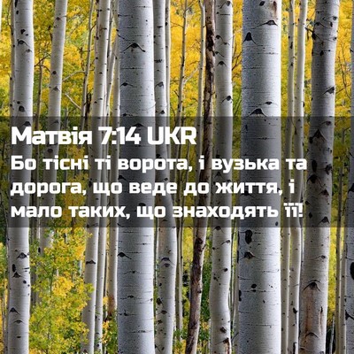 Picture 02 - Матвія 7:14 UKR - Бо тісні ті ворота, і - Bible Verse Picture