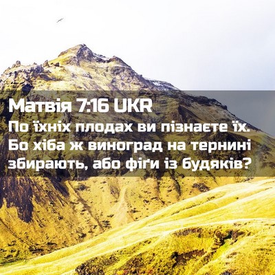 Picture 02 - Матвія 7:16 UKR - По їхніх плодах ви - Bible Verse Picture