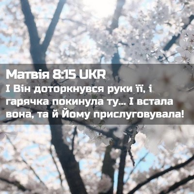 Picture 02 - Матвія 8:15 UKR - І Він доторкнувся руки її, - Bible Verse Picture