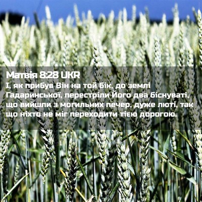 Picture 02 - Матвія 8:28 UKR - І, як прибув Він на той бік, - Bible Verse Picture