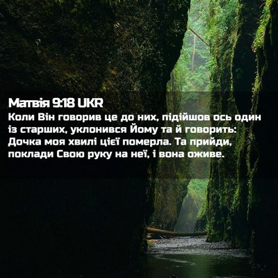 Picture 02 - Матвія 9:18 UKR - Коли Він говорив це до них, - Bible Verse Picture