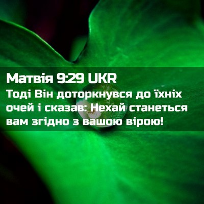 Picture 02 - Матвія 9:29 UKR - Тоді Він доторкнувся до - Bible Verse Picture